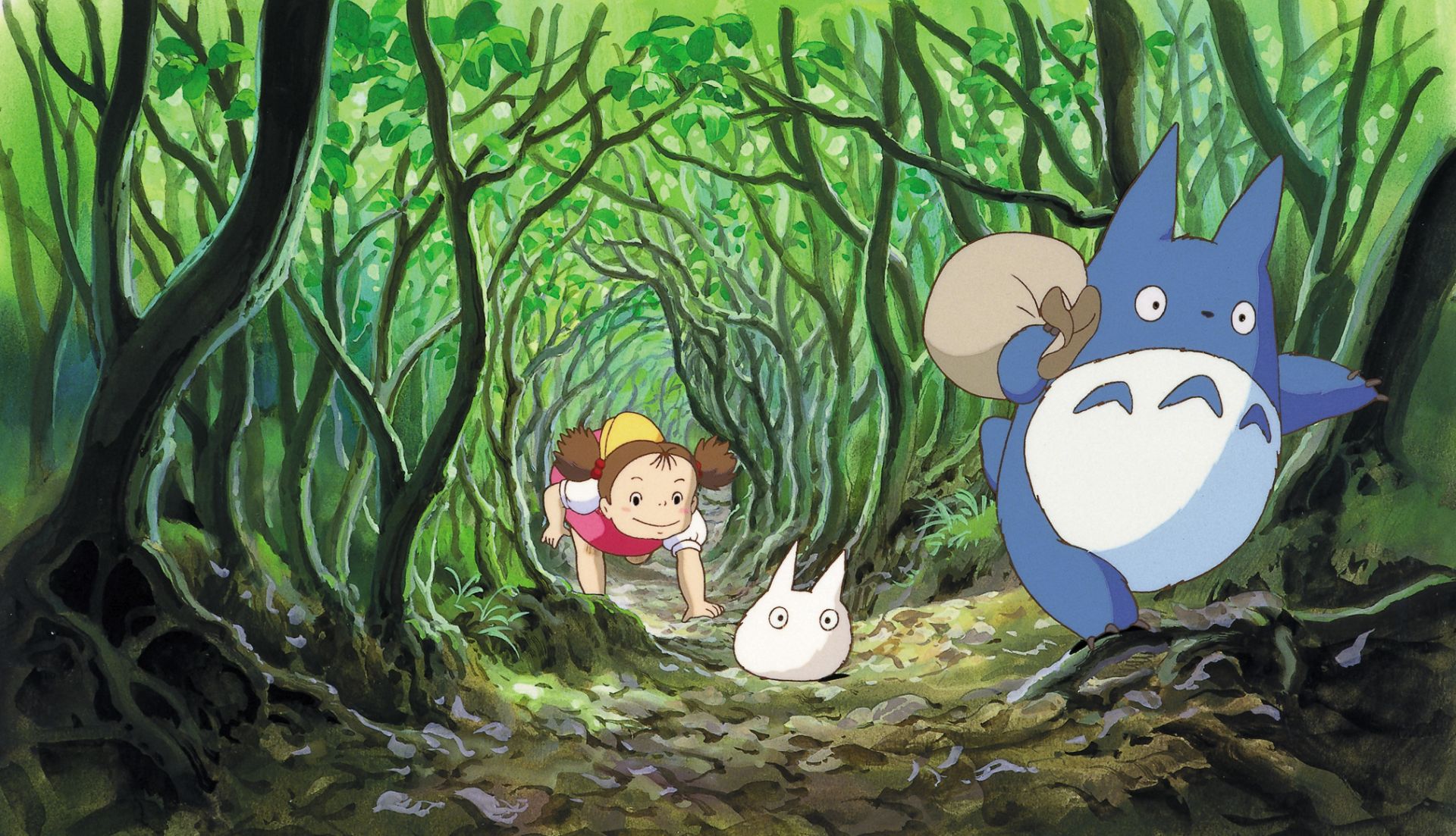 Mein Nachbar Totoro